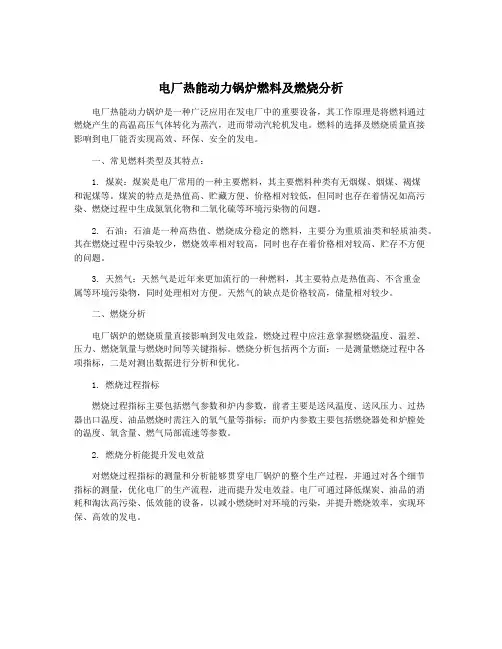 电厂热能动力锅炉燃料及燃烧分析