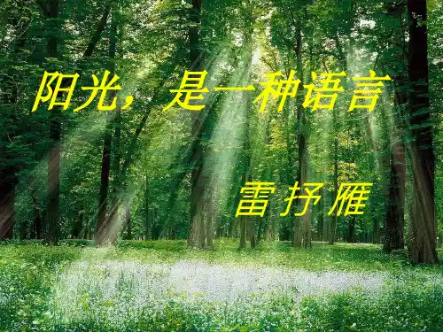 阳光,是一种语言(雷抒雁)