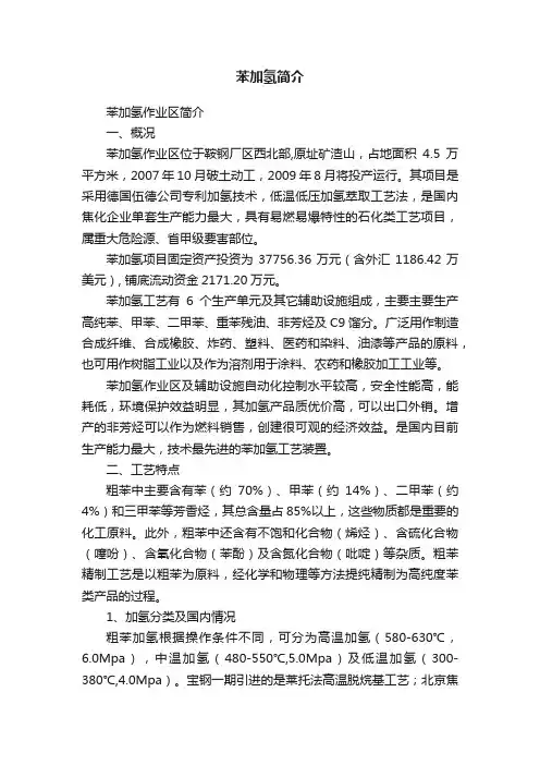 苯加氢简介
