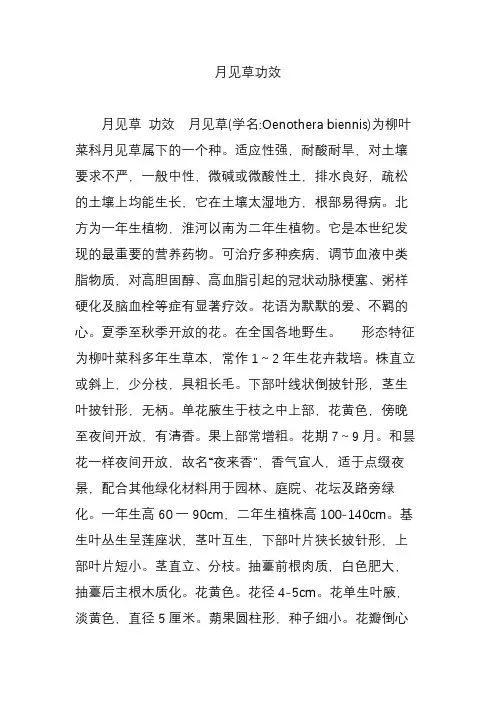 月见草功效
