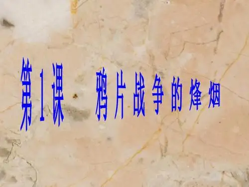 第1课鸦片战争的烽烟.PPT