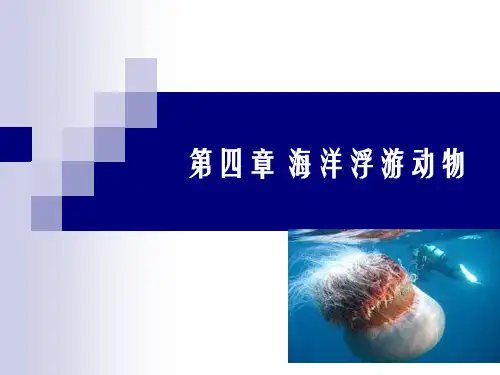 04第四章海洋浮游动物
