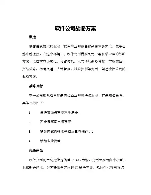 软件公司战略方案