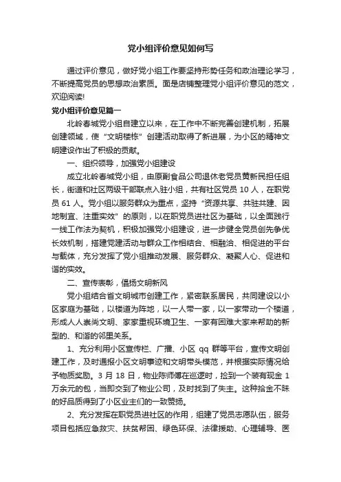 党小组评价意见如何写