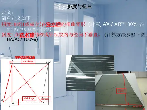 斜度与扭度(中文)