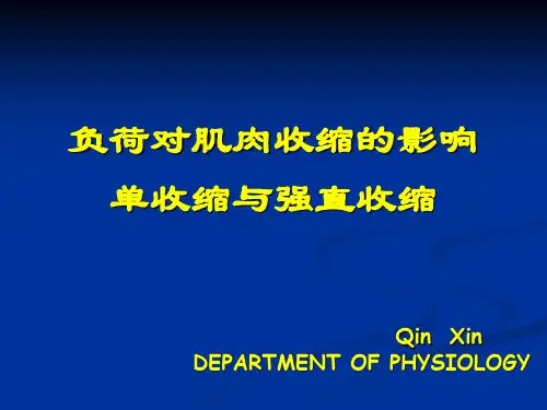 负荷对肌肉收缩的影响 单收缩与复合收缩