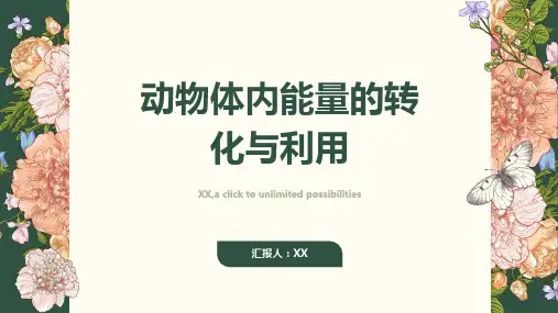 动物体内能量的转化与利用