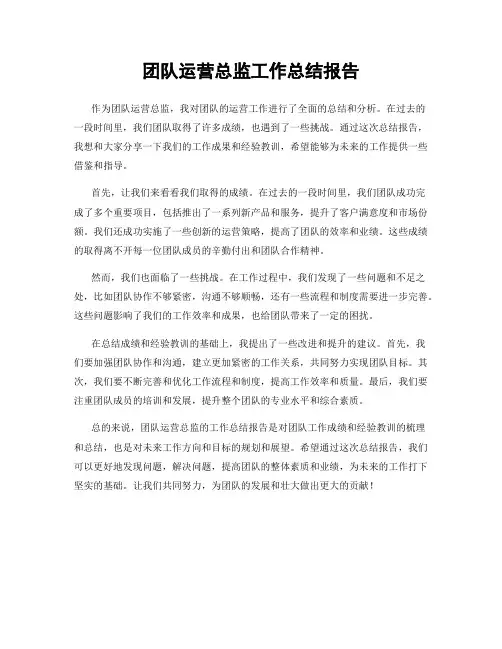 团队运营总监工作总结报告