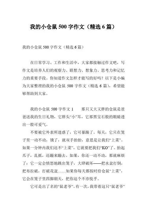 我的小仓鼠500字作文(精选6篇)