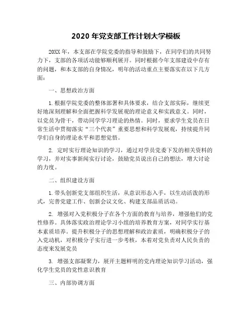 2020年党支部工作计划大学模板