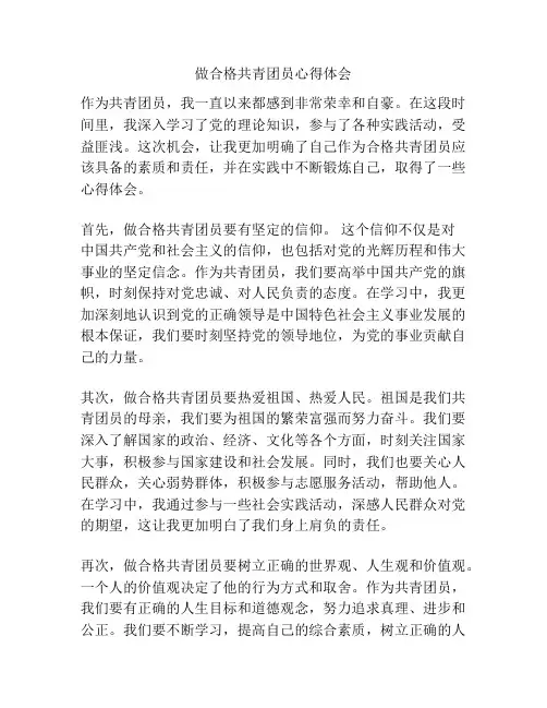 做合格共青团员心得体会