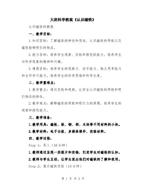 大班科学教案《认识磁铁》