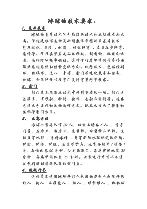冰球简单的技术要求