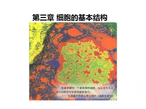 人教版高中生物优秀课件必修一：第三章 细胞的基本结构1 课件(共28张PPT)