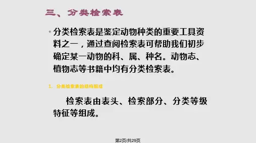 鱼纲分类学习.pptx
