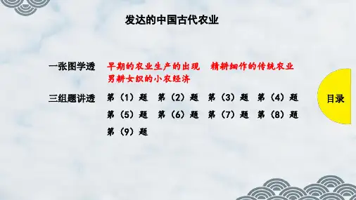 高三历史一轮复习优质课件： 发达的中国古代农业