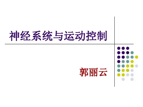 《运动控制》PPT课件