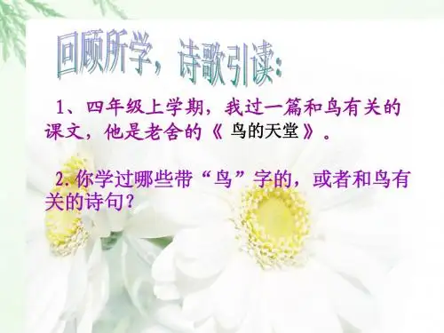 《珍珠鸟》正式版