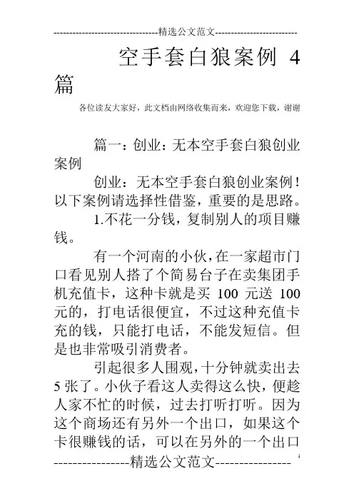 空手套白狼案例4篇