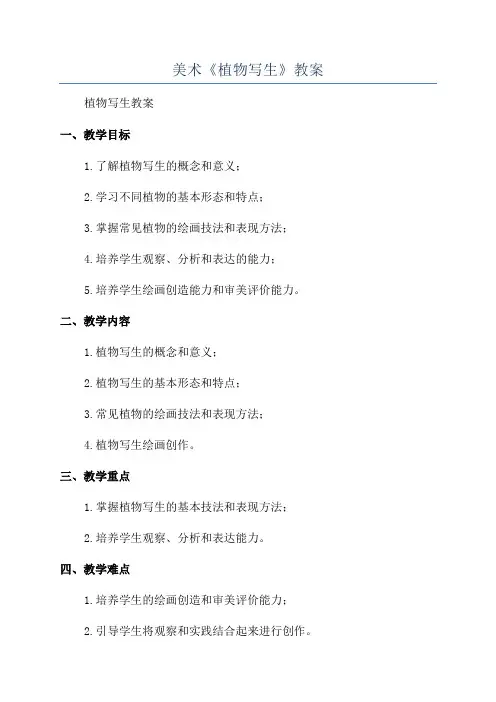 美术《植物写生》教案