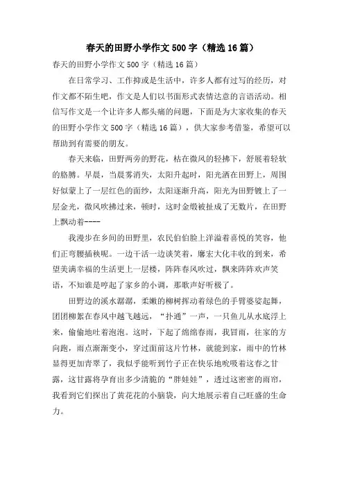 春天的田野小学作文500字(16篇)