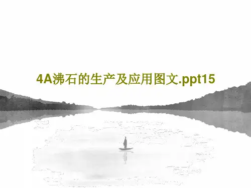 4A沸石的生产及应用图文.ppt15共19页PPT