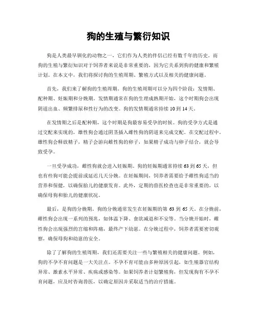 狗的生殖与繁衍知识