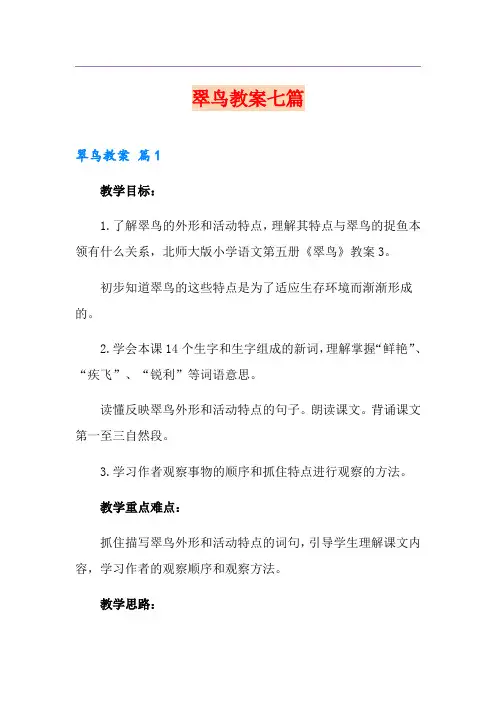 翠鸟教案七篇