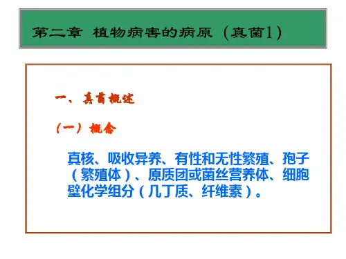 植物病害的病原真菌