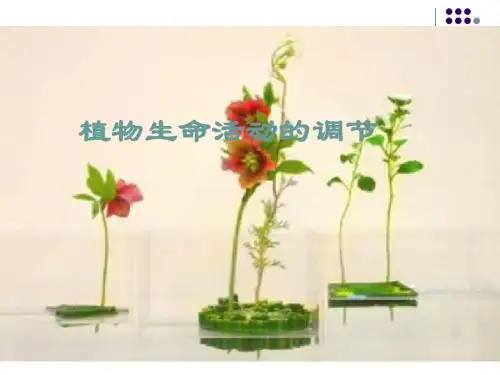 《植物生命活动的调节》课件(苏教版必修3)