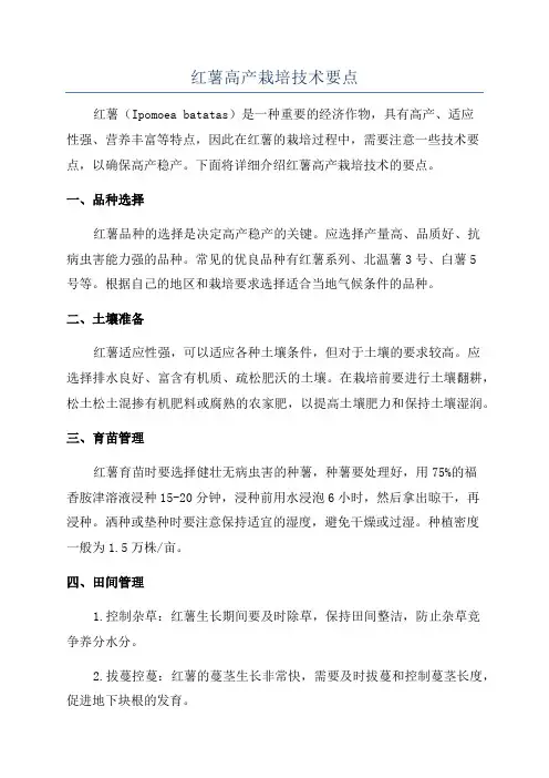 红薯高产栽培技术要点