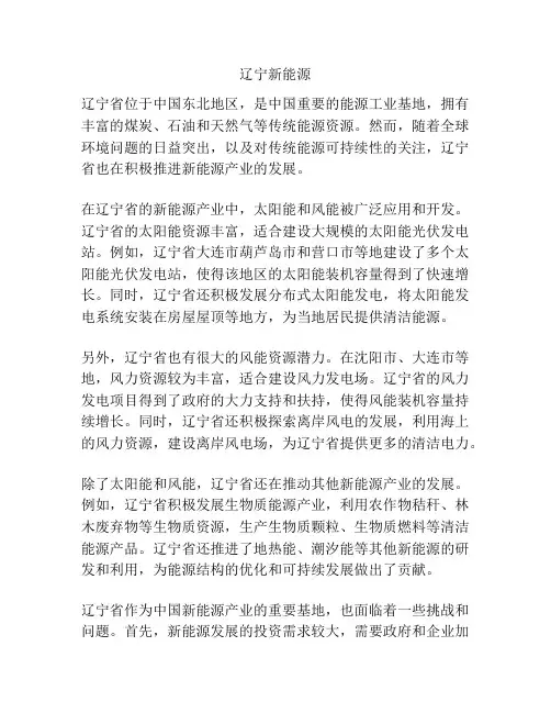 辽宁新能源