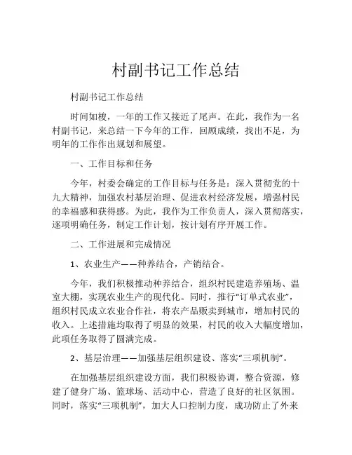 村副书记工作总结