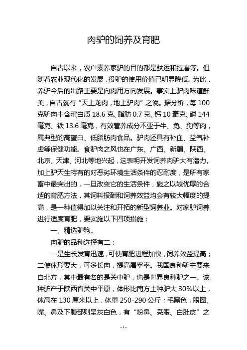 肉驴的饲养及育肥