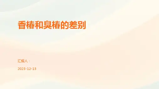 香椿和臭椿的差别