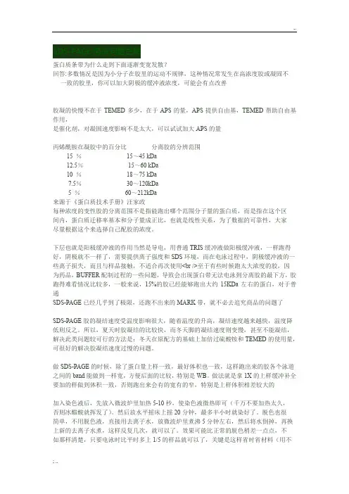 SDS-PAGE电泳常见问题