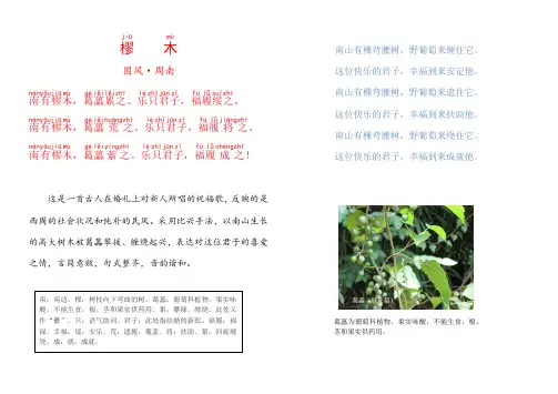 诗经国风周南樛木