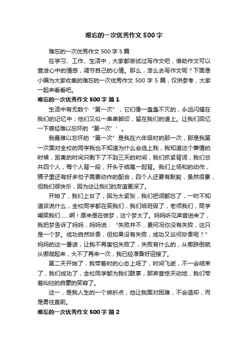 难忘的一次优秀作文500字