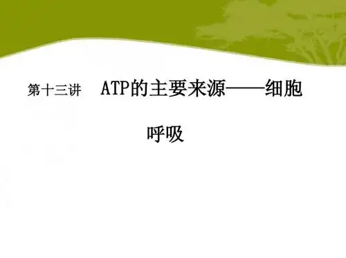 人教版·高中生物·高三一轮复习课件·第13讲 细胞呼吸