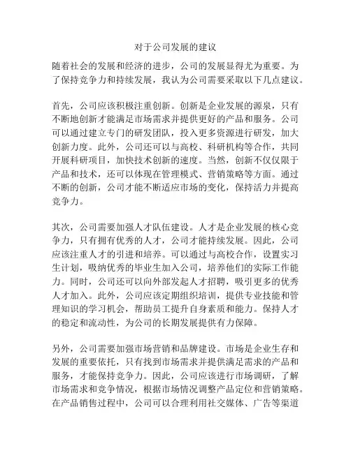 对于公司发展的建议