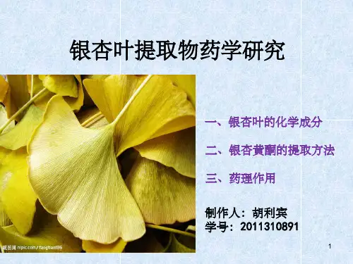 《银杏叶药学研究》PPT课件