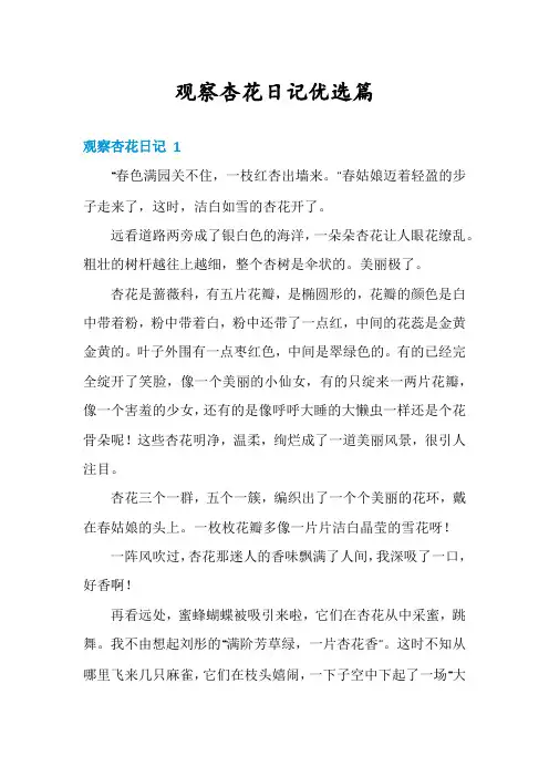 观察杏花日记优选篇