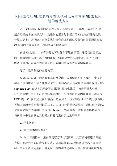 刚开始接触WB实验有没有大佬可以分享常见WB常见问题的解决方法