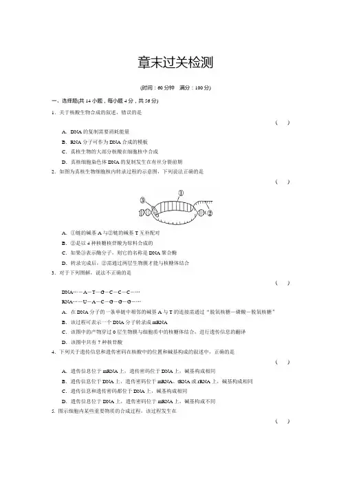 (word完整版)人教版高中生物必修二第四章过关检测