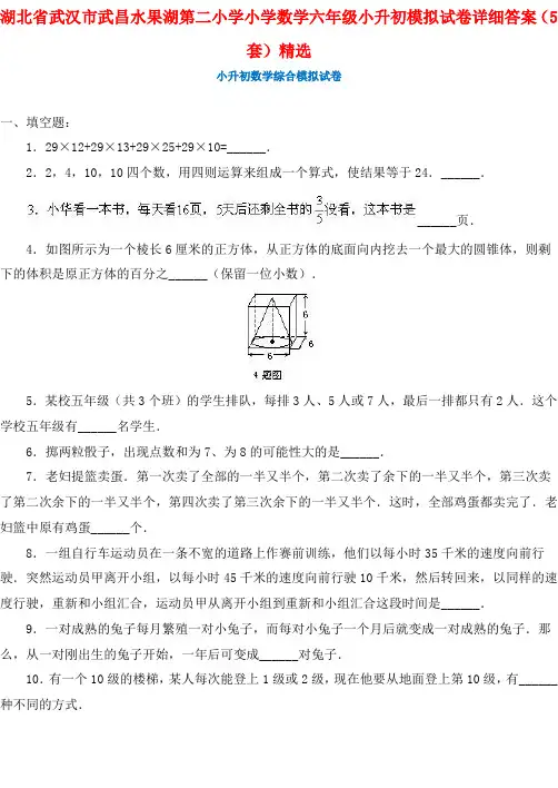 湖北省武汉市武昌水果湖第二小学小学数学六年级小升初模拟试卷详细答案(5套)精选