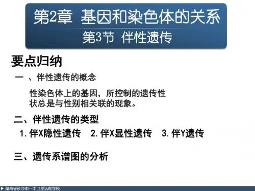高三生物《必修2第2章 第3节  伴性遗传》 PPT课件
