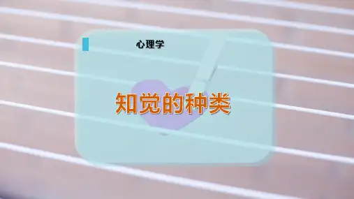 知觉的种类