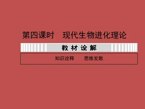 高三生物一轮复习课件：74现代生物进化理论-82页PPT资料
