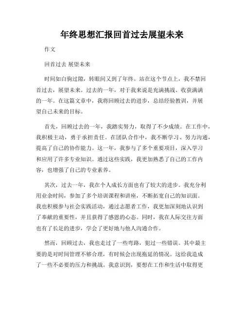 年终思想汇报回首过去展望未来