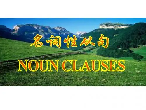 高考英语名词性从句1